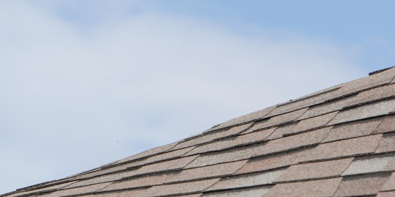 Roof Inspection