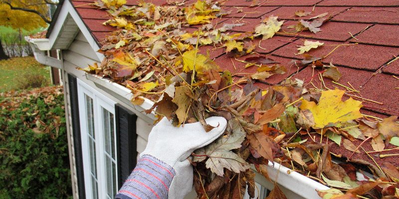 Roof Maintenance